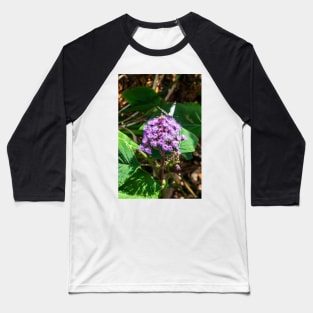 Butterfly and Bee in the Botanical Garden Baseball T-Shirt
